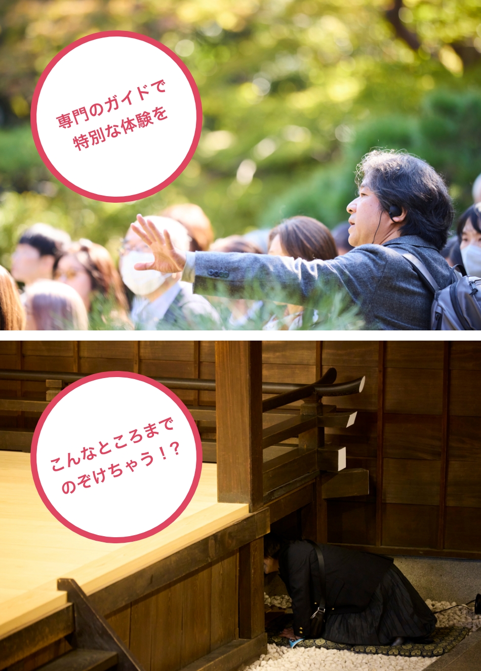 ガイドツアー