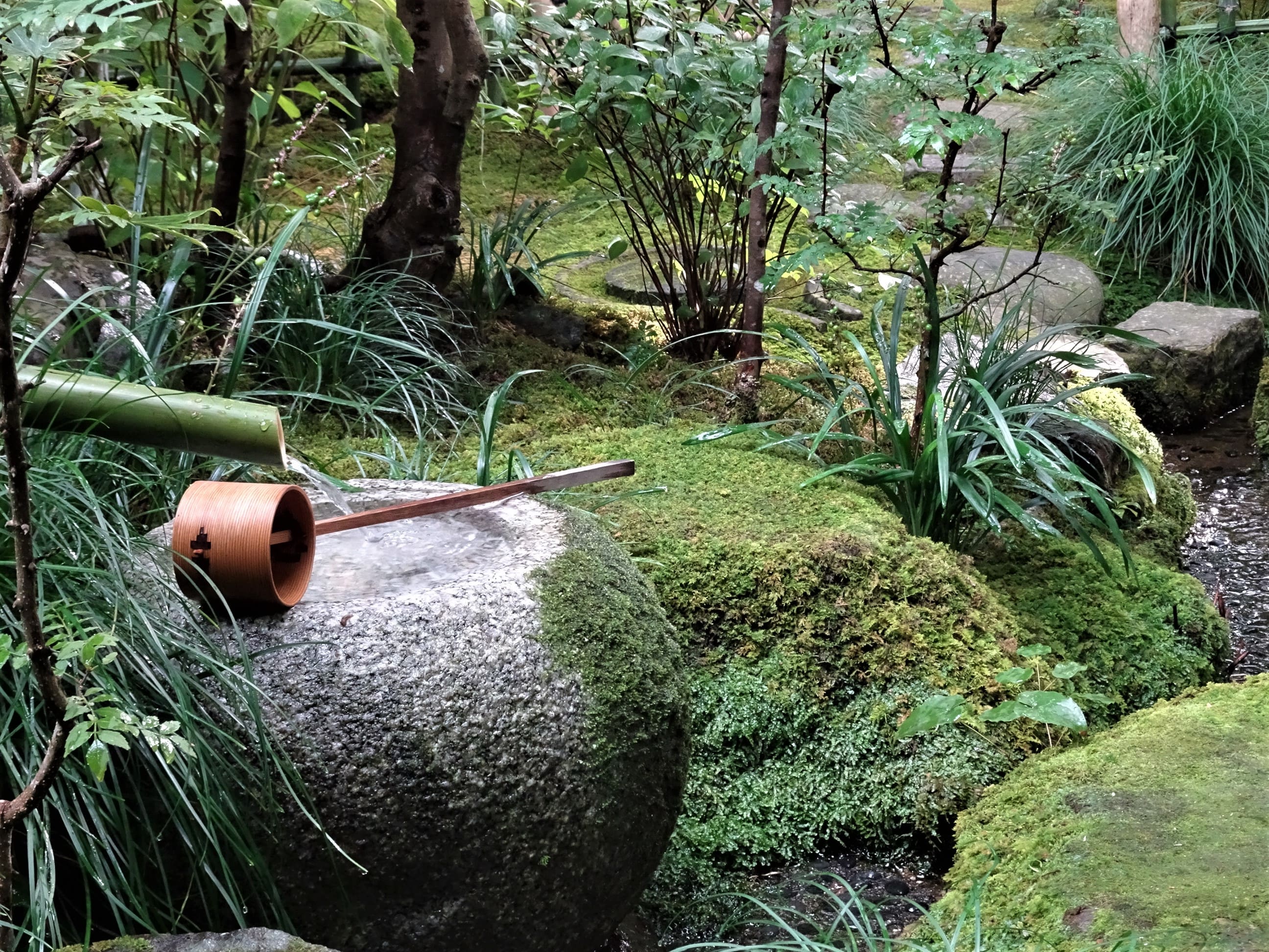 画像 2 (1周目)
